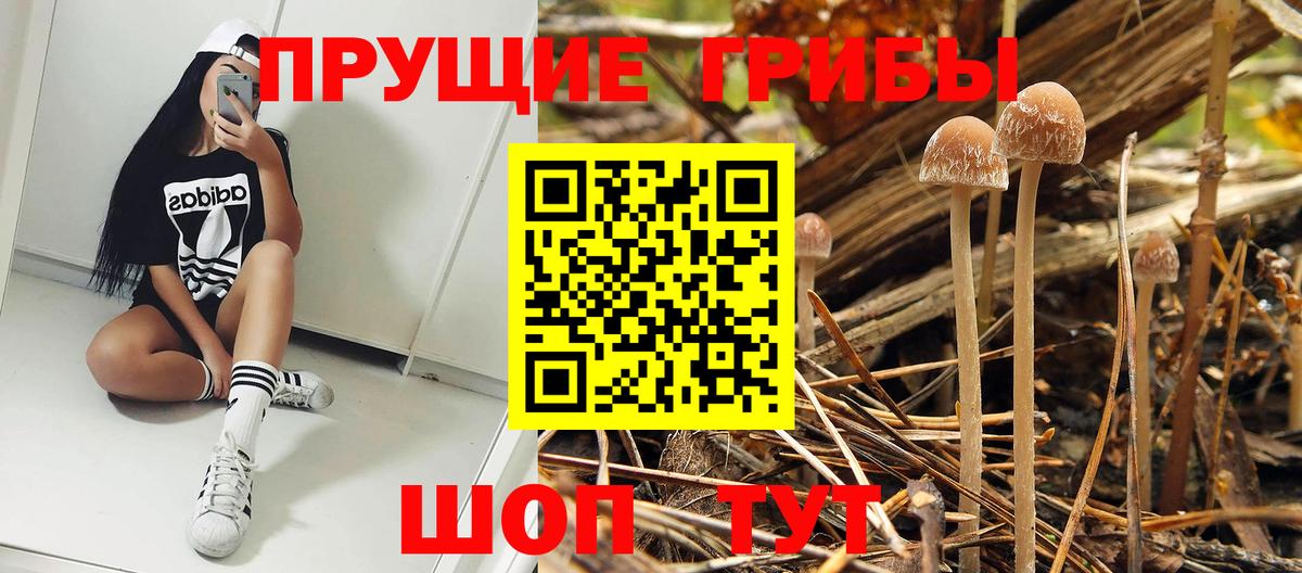 Галлюциногенные грибы MAGIC MUSHROOMS  Вход с VPN  Октябрьский 