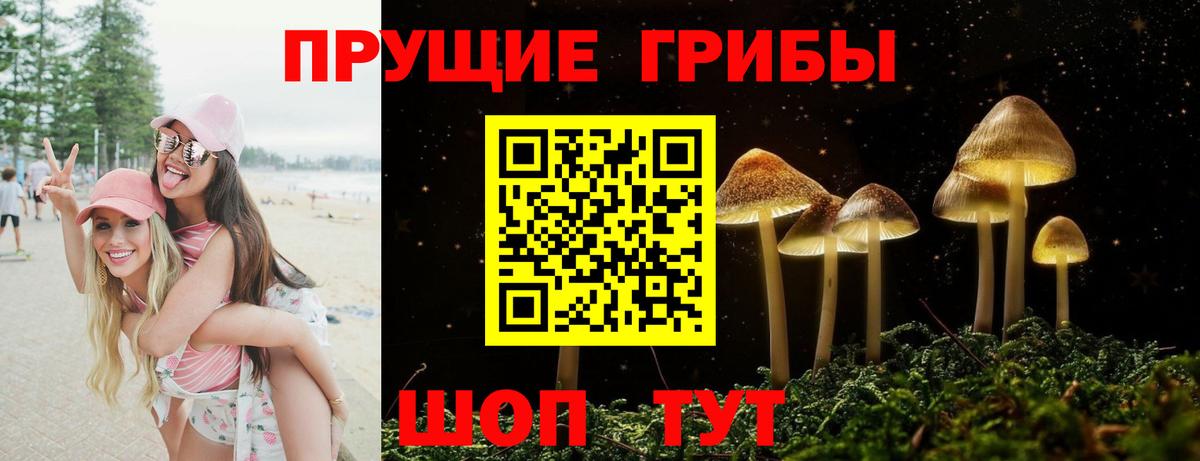 Псилоцибиновые грибы GOLDEN TEACHER Октябрьский